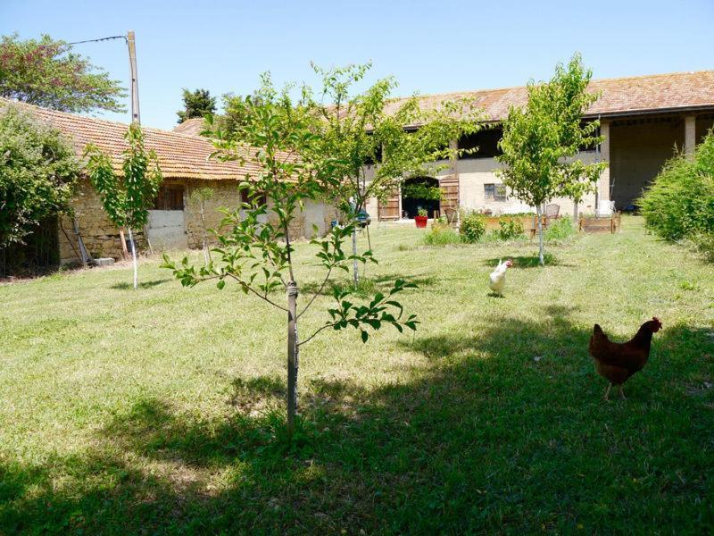 Ferme St Pierre 2 Suites Avec Repas, Piscine, Clim, Cheminee Ou Baignoire Spa Chabeuil Екстериор снимка