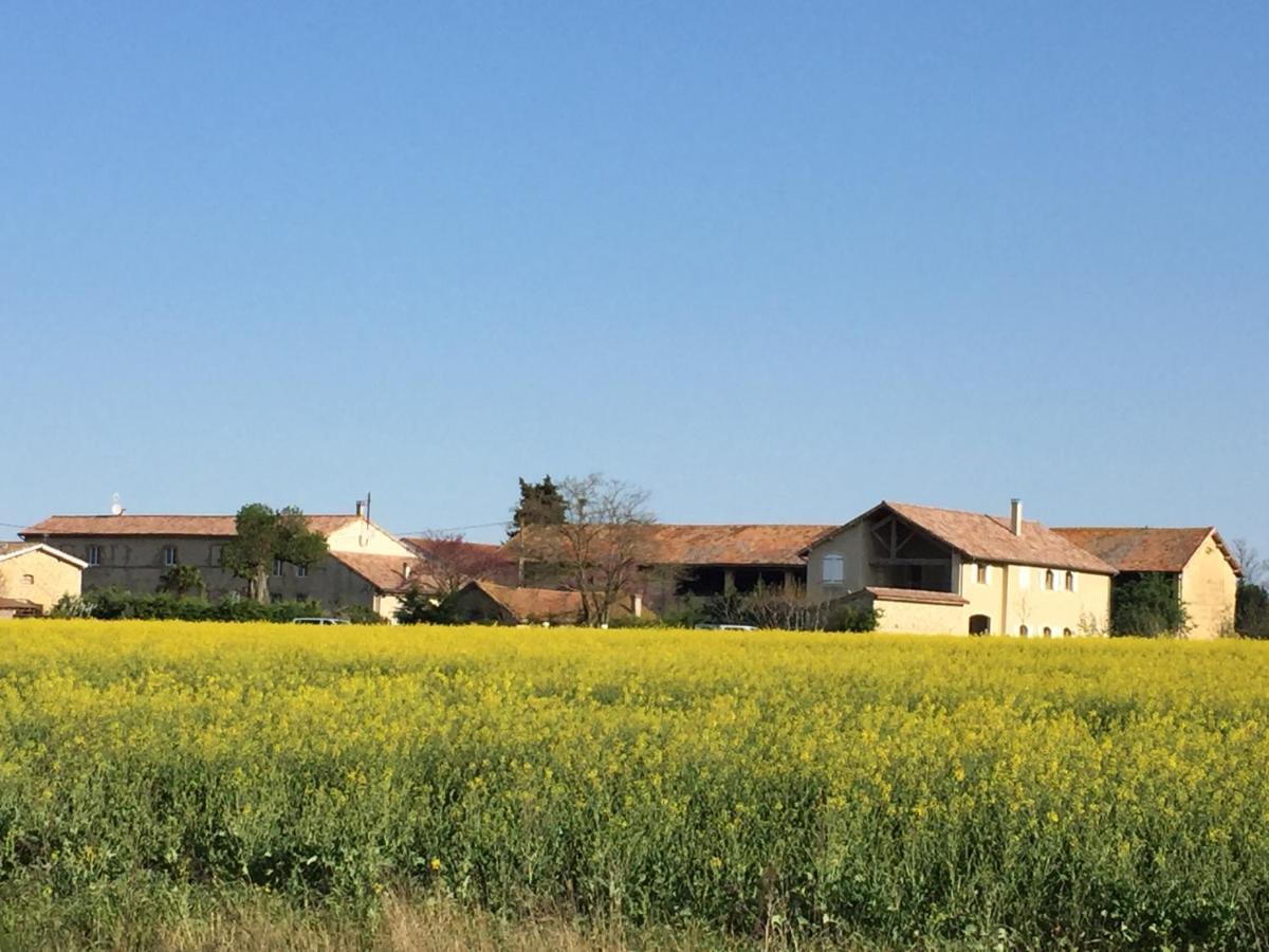 Ferme St Pierre 2 Suites Avec Repas, Piscine, Clim, Cheminee Ou Baignoire Spa Chabeuil Екстериор снимка